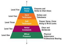 controlling the use of force: a role for human rights norms in contemporary armed conflict